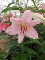 [5263 Dubrovnik No02.JPG]